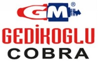 Gedikoglu